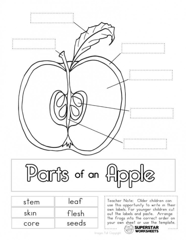 Apple Worksheets - Superstar Worksheets