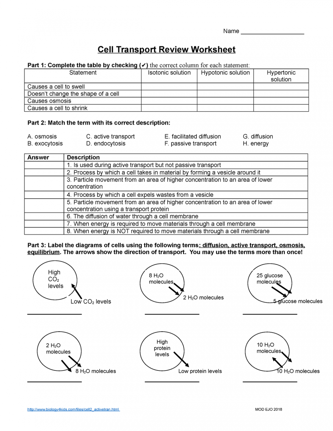 Handout - Cell Transport Review Worksheet - Name Cell Transport