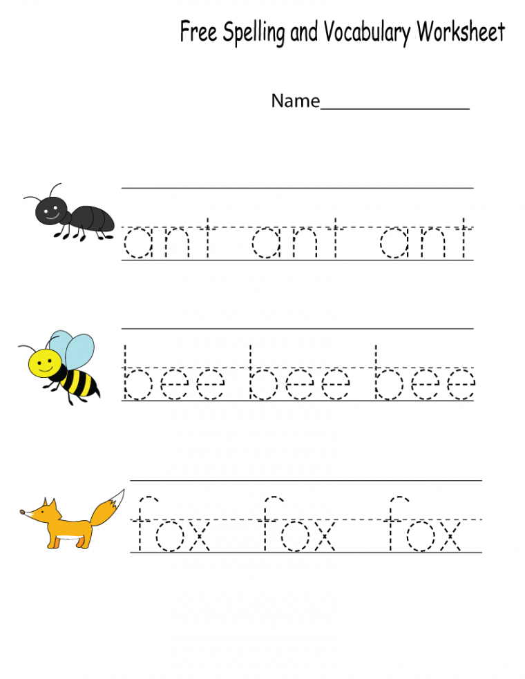 Kindergarten Worksheets PDF Free Download  Kindergarten