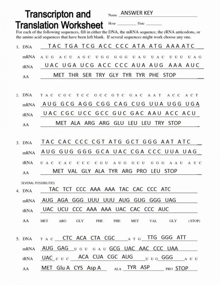 Protein Synthesis Practice Worksheet Proteins Synthesis