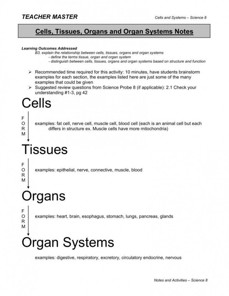 A Cells Tissues Organs Organ Systems Worksheet is a series of