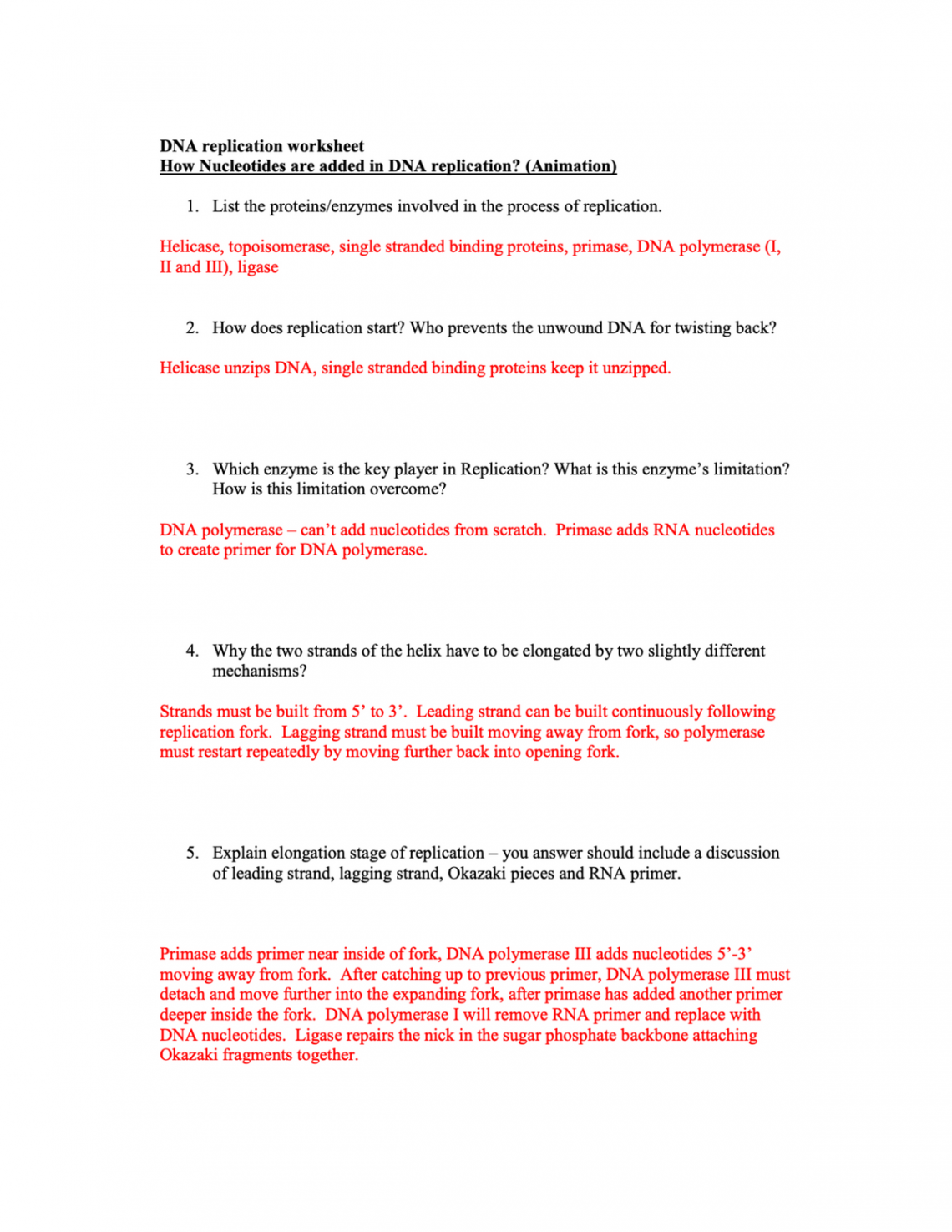 B DNA Replication Worksheet Answers - BIOL B - UC Riverside