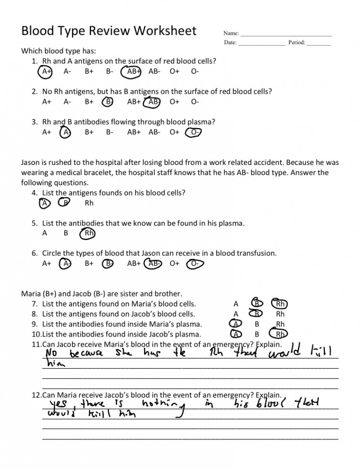 Blood Type Review Worksheet - Notability Gallery