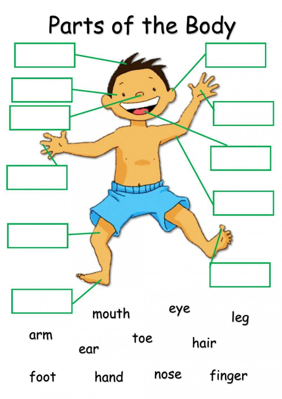 Body Parts online exercise for Grade   Live Worksheets