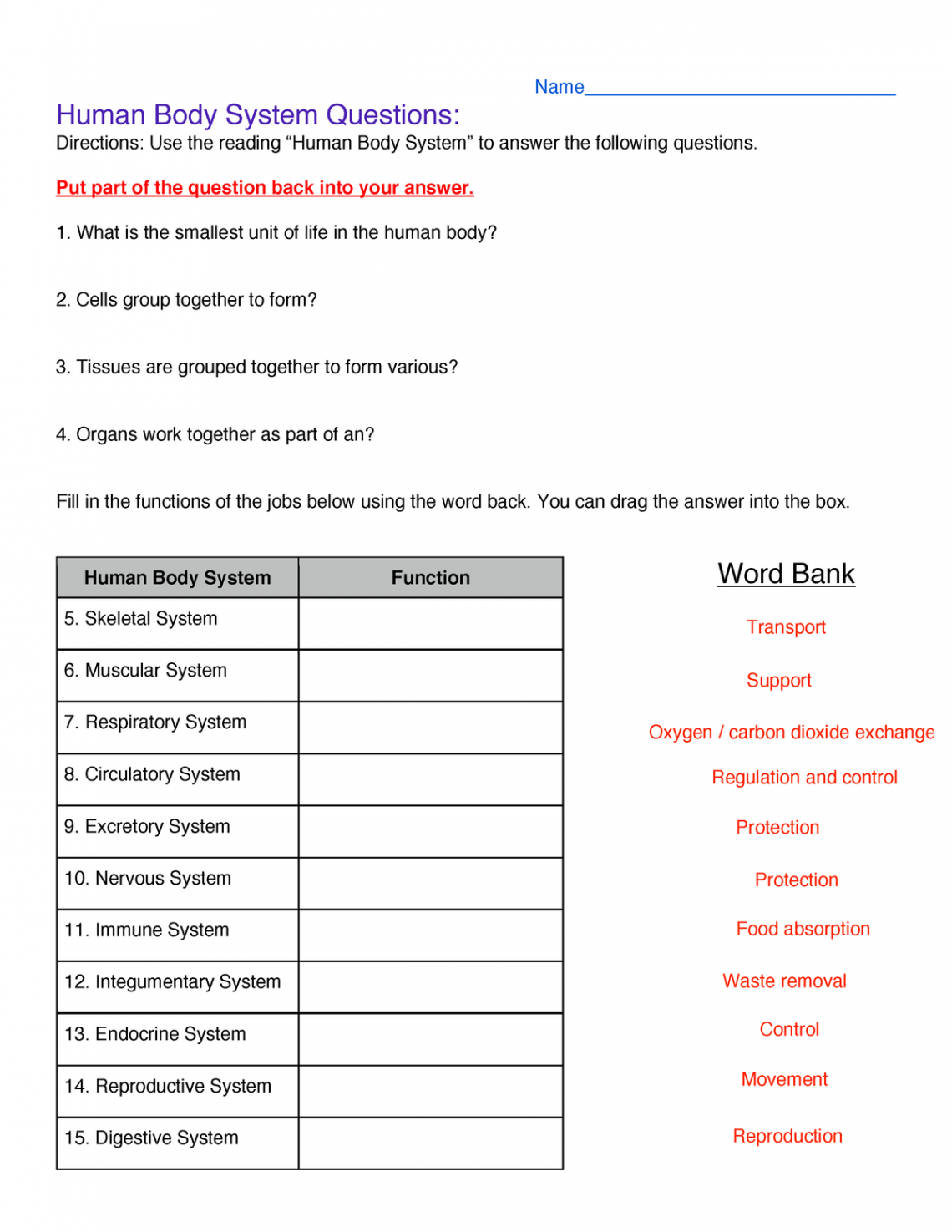 Body Systems Worksheet - Human Body System Questions