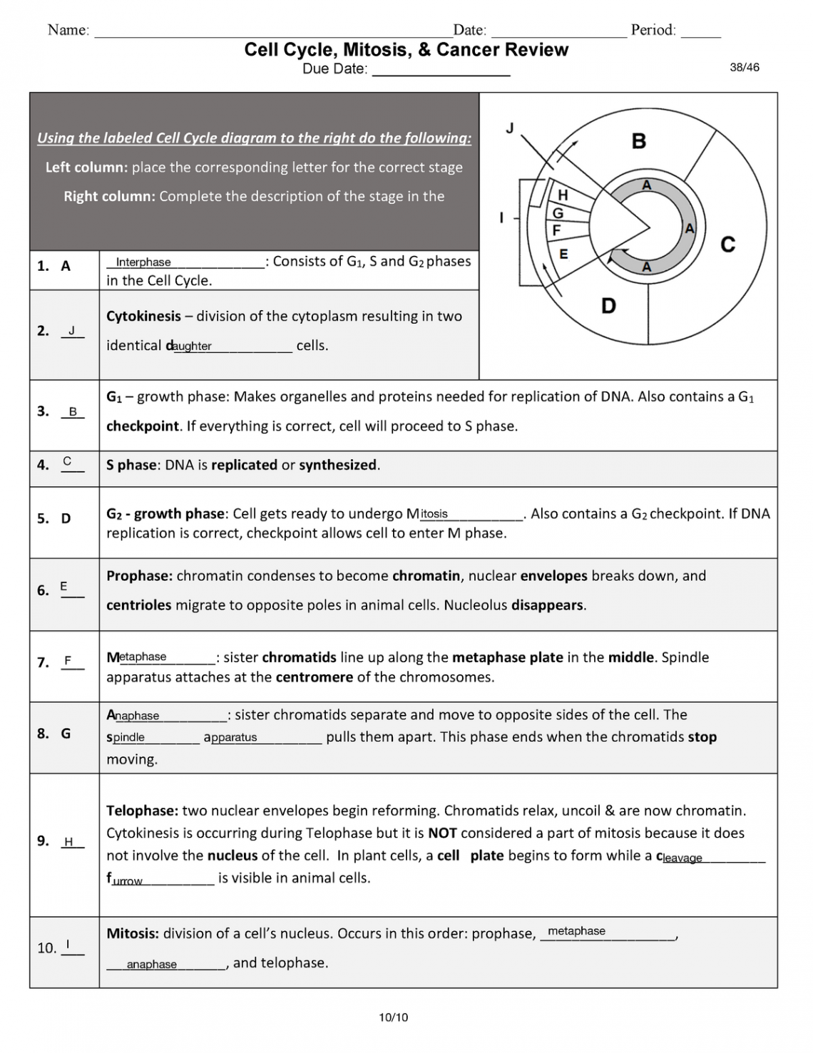 Cell cycle, Mitosis and Cancer review - Name: : - Studocu