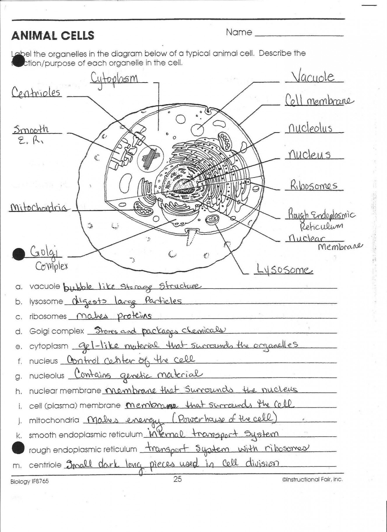 Cells Alive Worksheet Answer Key  Animal and Plant Cell