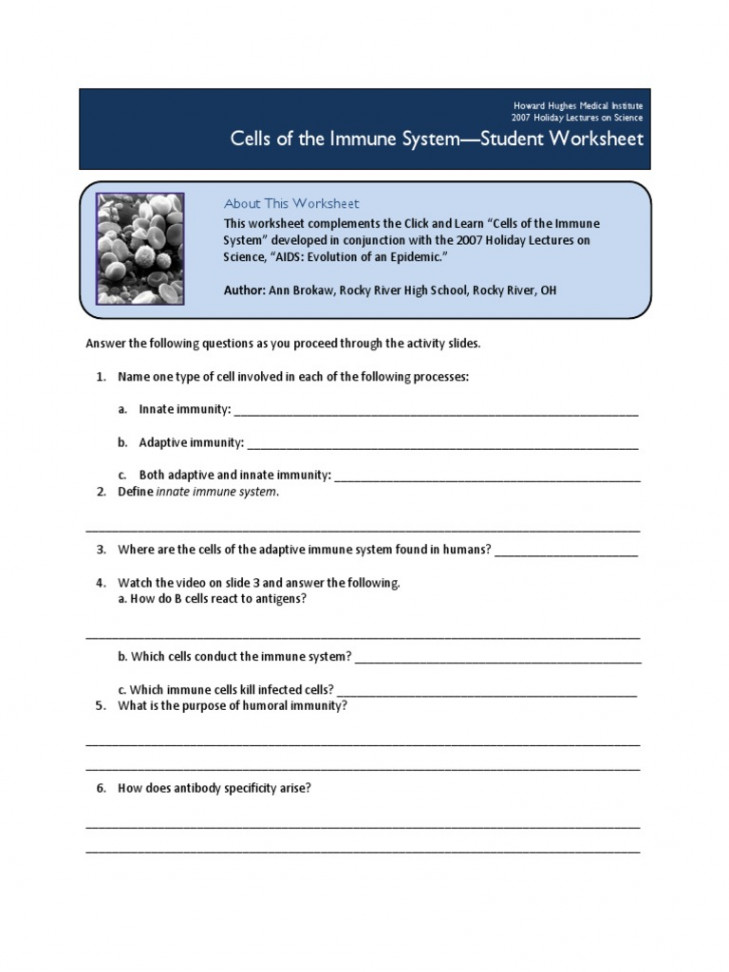 Cells of The Immune System-Student Worksheet  PDF  Adaptive