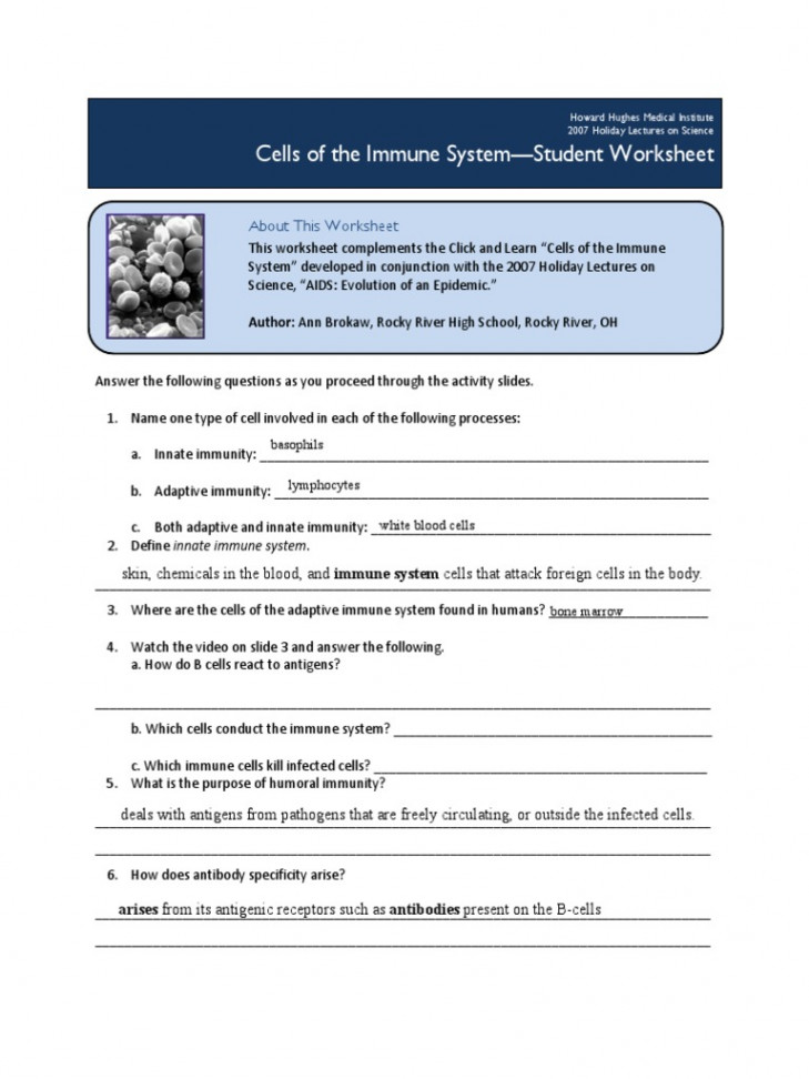 Cells of The Immune System-Student Worksheet  PDF  Immune System