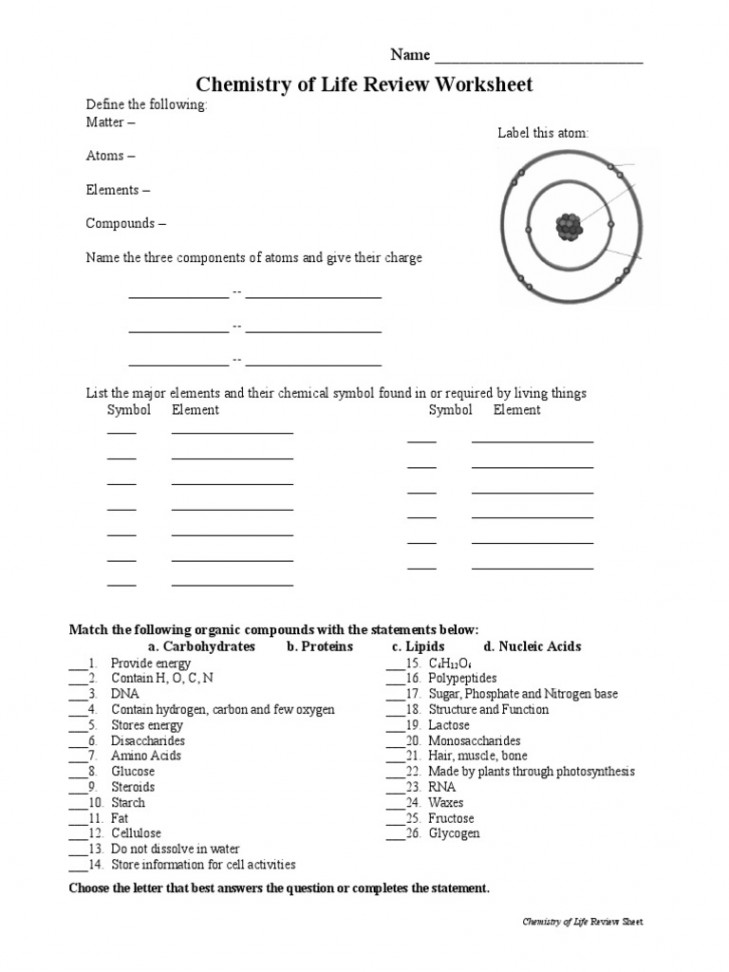 Chemistry of Life Worksheet  PDF