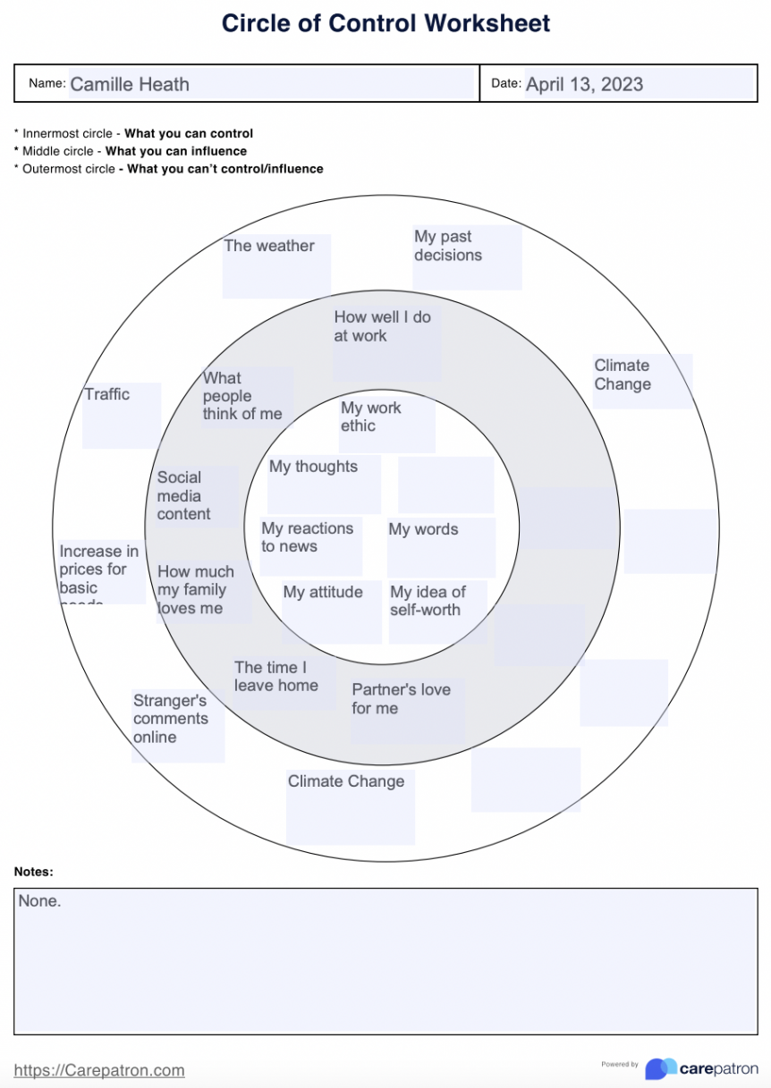 Circle Of Control Worksheet & Example  Free PDF Download