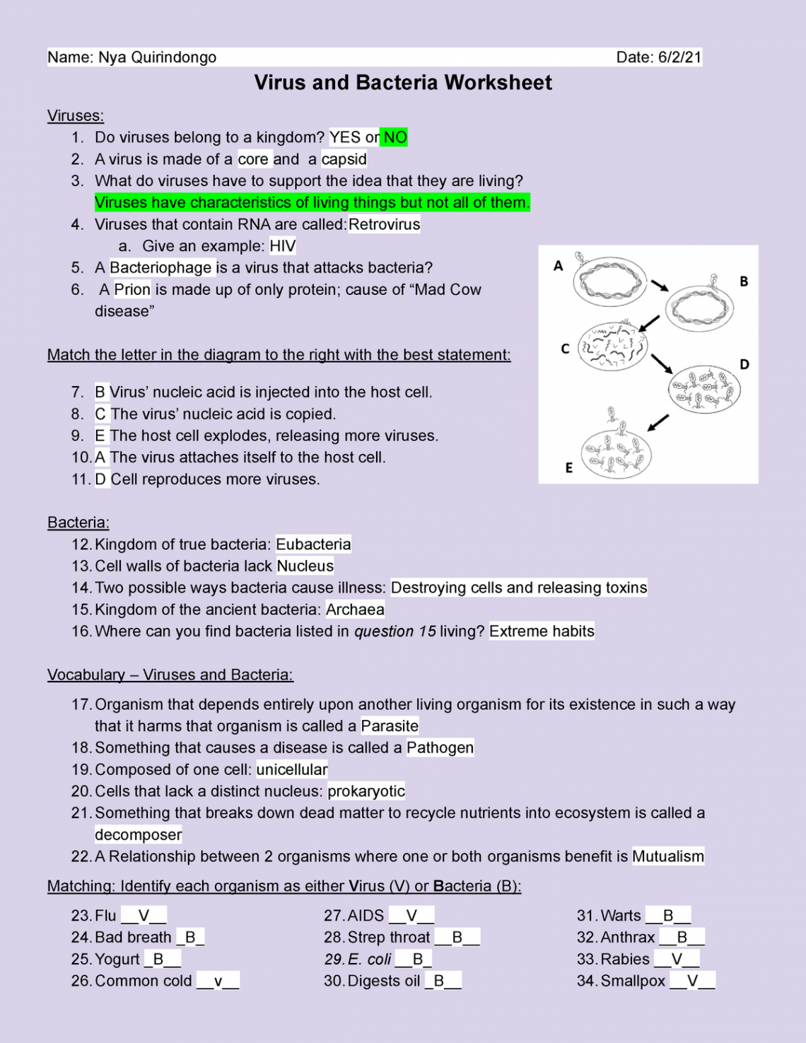 Copy of Virus and Bacteria Worksheet - Name: Nya Quirindongo Date