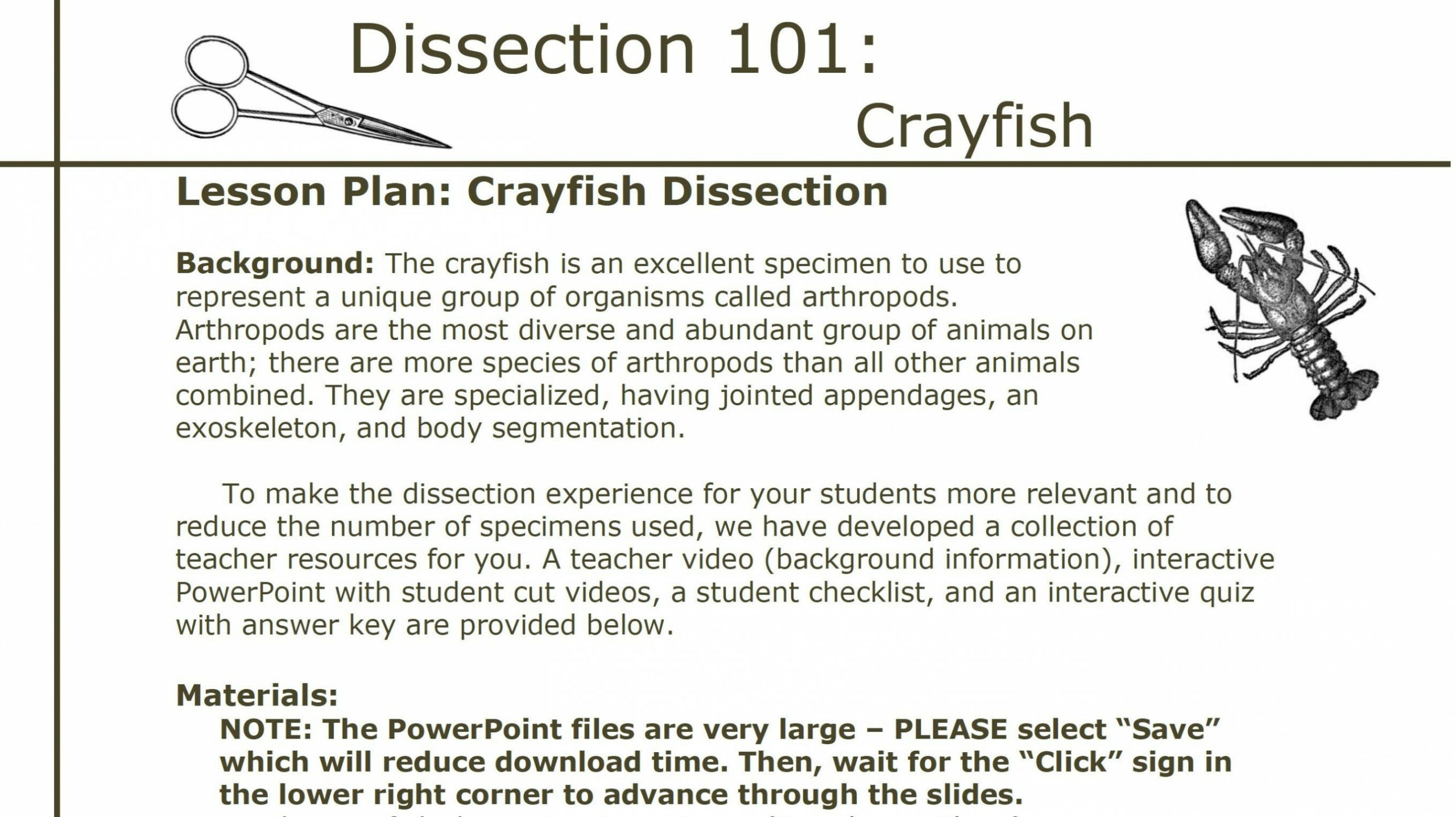 Dissection   Crayfish Dissection: Lesson Plan  PBS LearningMedia