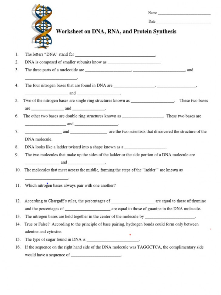 DNA RNA Worksheet  PDF  Rna  Dna