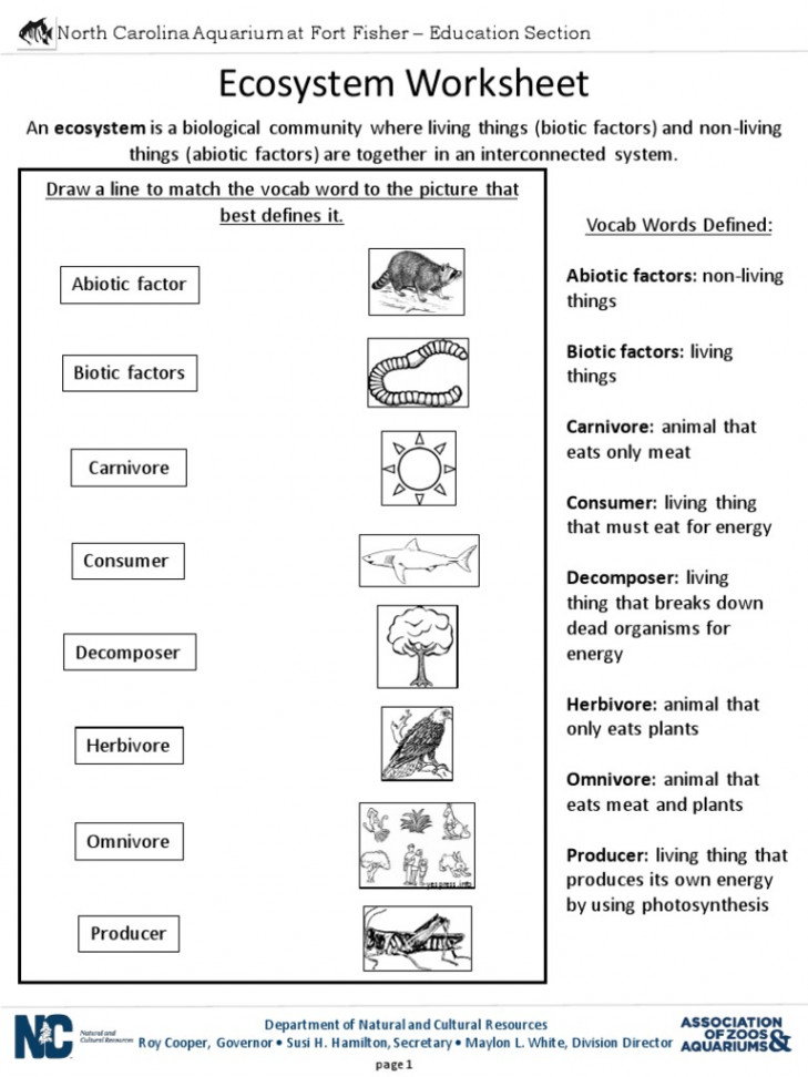 Ecosystem Worksheet   PDF  Ecosystem  Biogeography