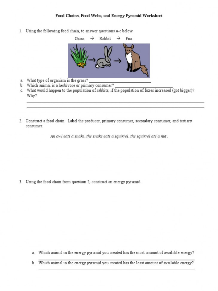 Food Chains, Food Webs, and Energy Pyramid Worksheet  PDF  Food