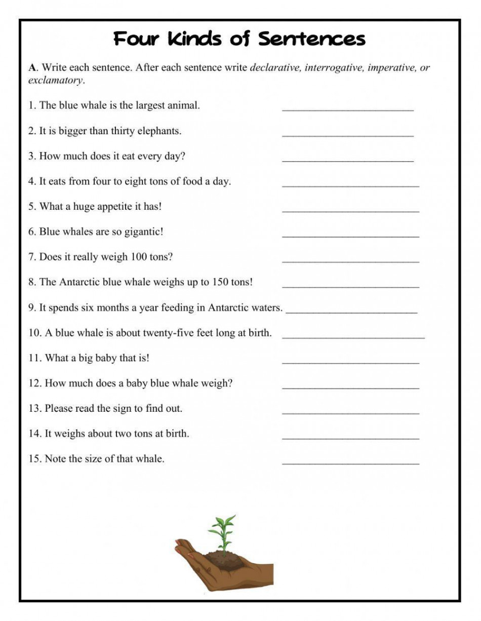 Four Kinds of sentences worksheet  Live Worksheets