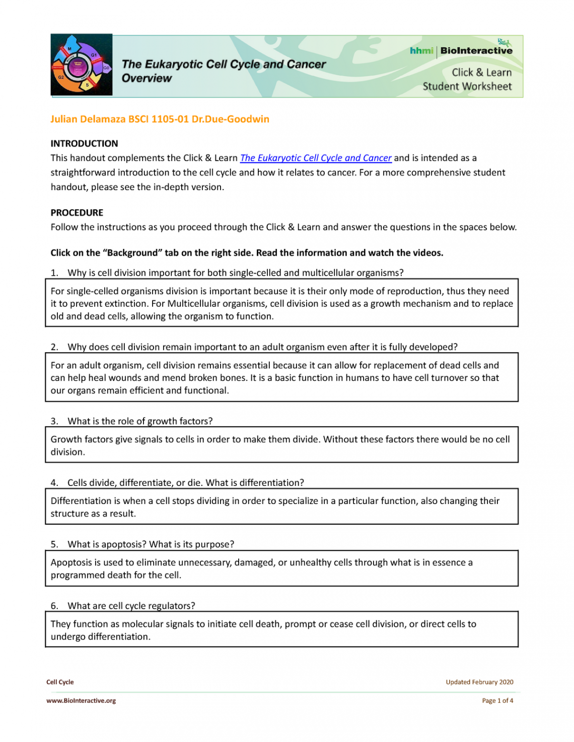 HHMI Cell Cycle and Cancer Overview Worksheet - Julian Delamaza