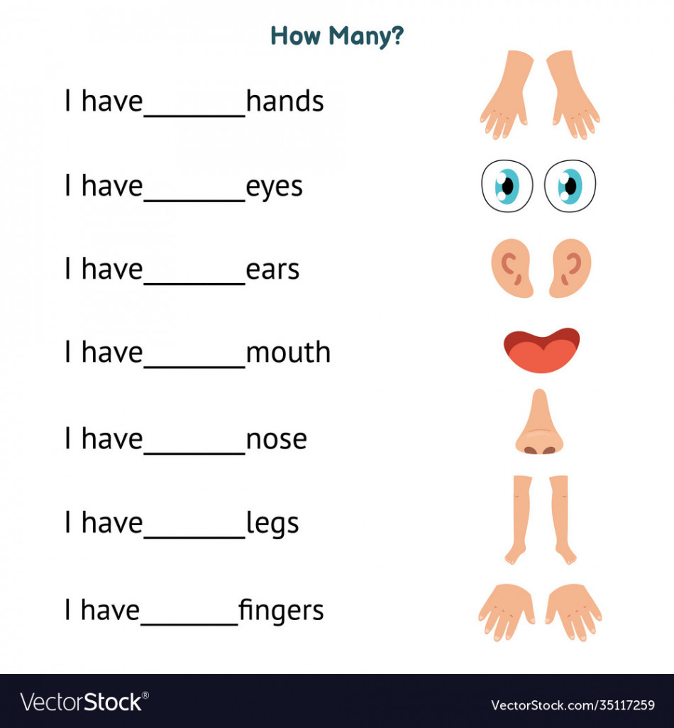 How many worksheet with body parts for kids write Vector Image