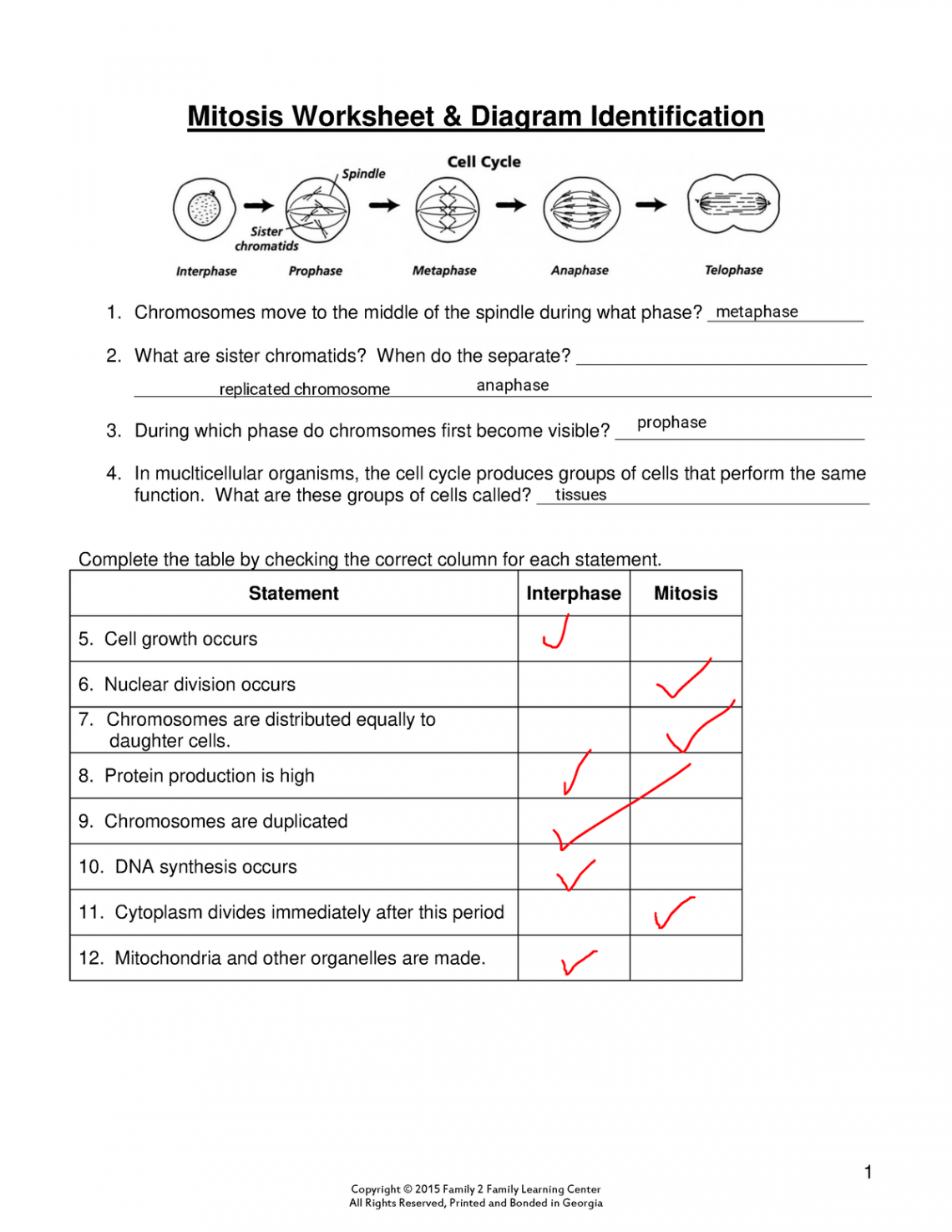 Kami Export - Jaylen Jasper - Copy of Mitosis Worksheet Diagram