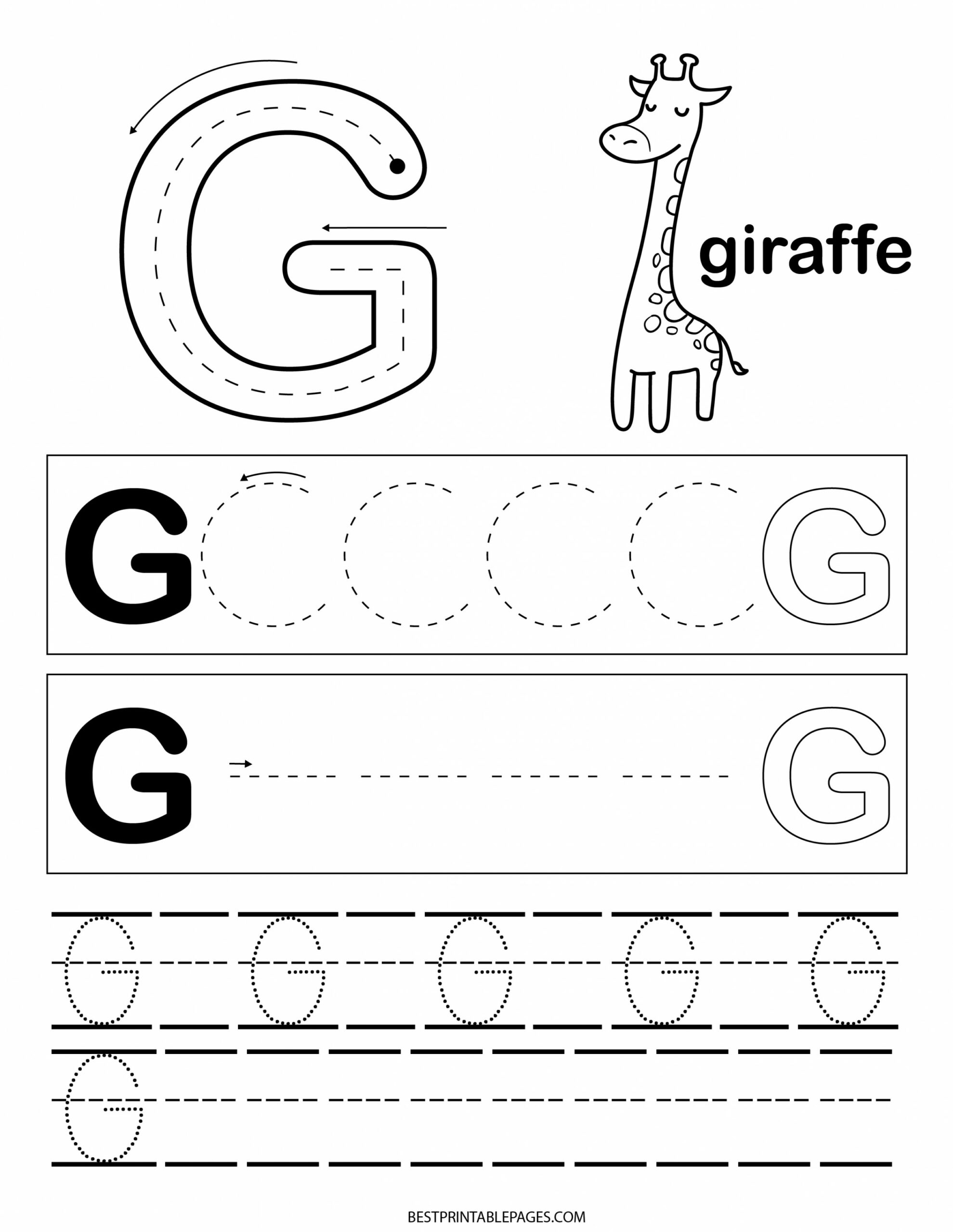 Letter G Free Printable Preschool Worksheet  Zena