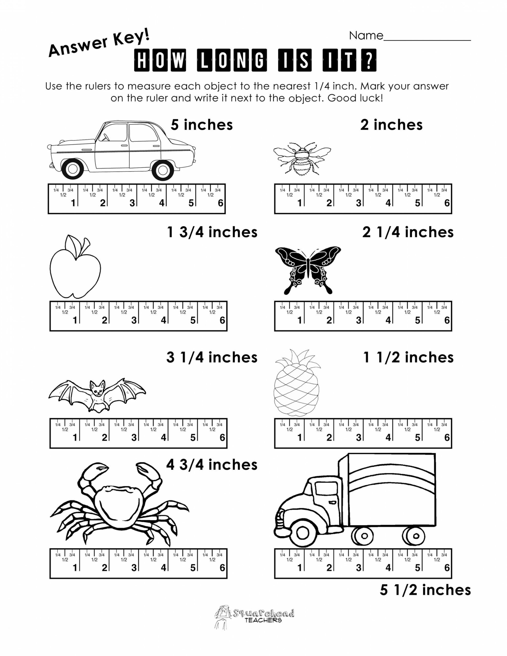 Measurement Practice   Squarehead Teachers