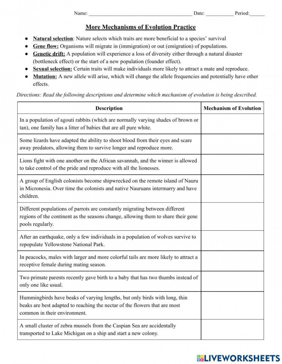 More Mechanisms of Evolution Practice worksheet  Live Worksheets