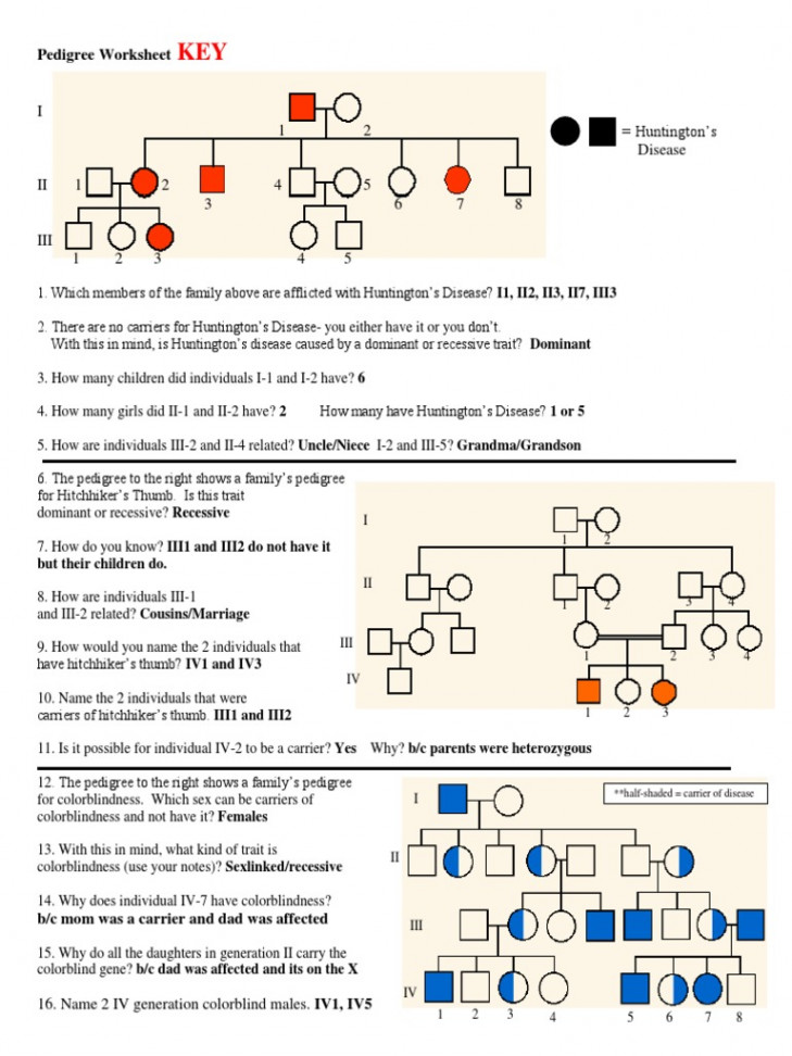 Pedigree Worksheet Answer Key  PDF  Dominance (Genetics