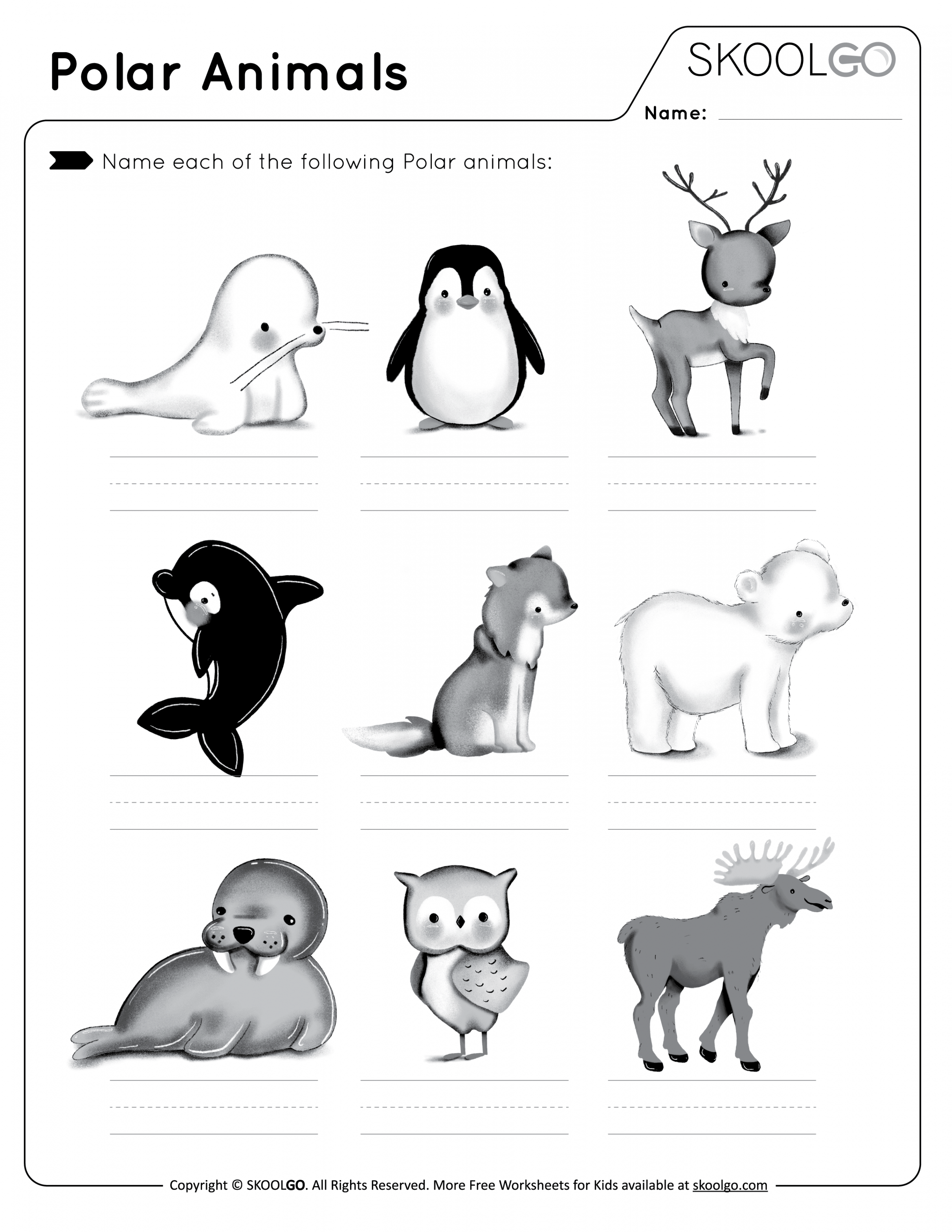 Polar Animals - Free Worksheet - SKOOLGO