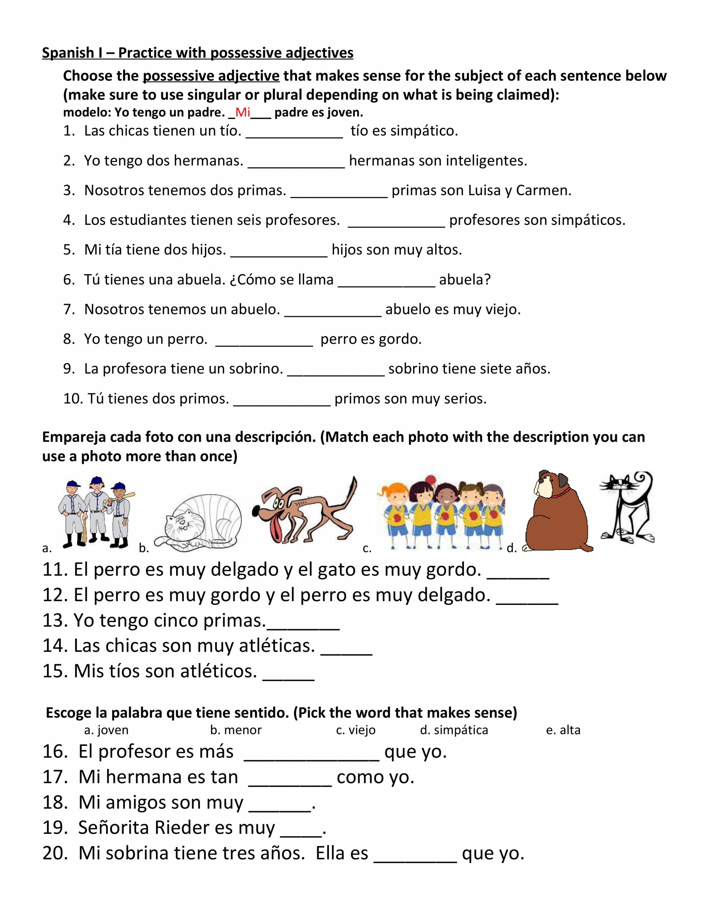 Possessive Adjectives Practice - Amanda Rieder  Library  Formative