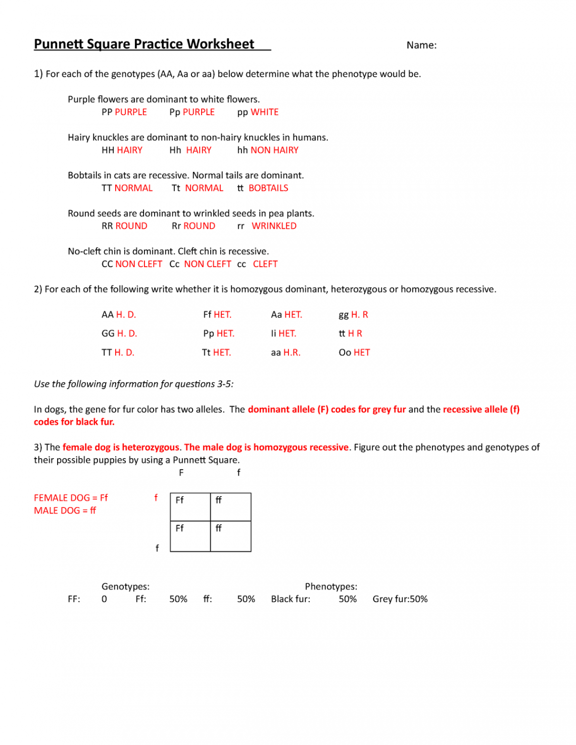 Punnett-Square-Practice-Worksheet Name-KEY-el  - Punnett