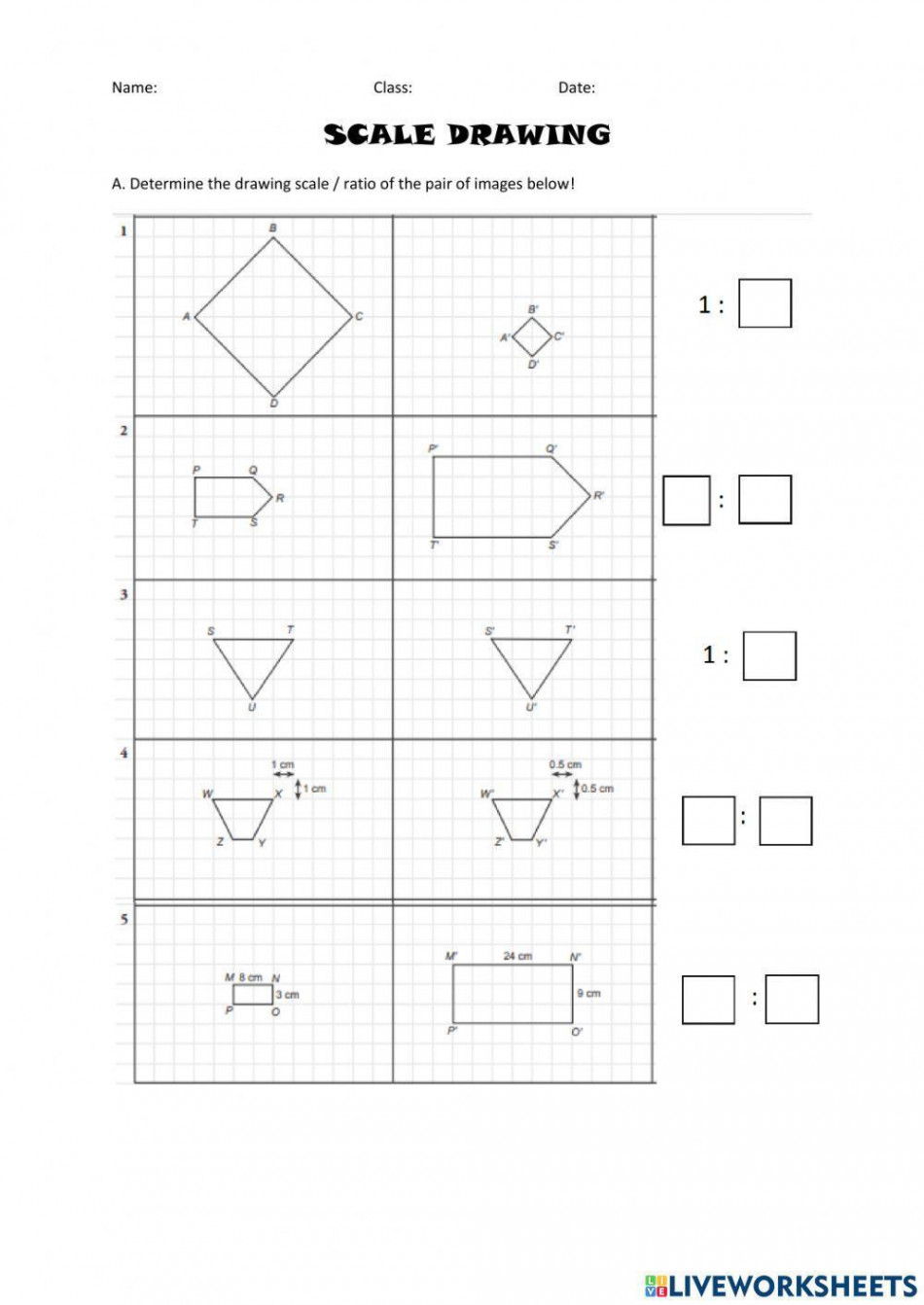 Scale Drawing worksheet  Live Worksheets