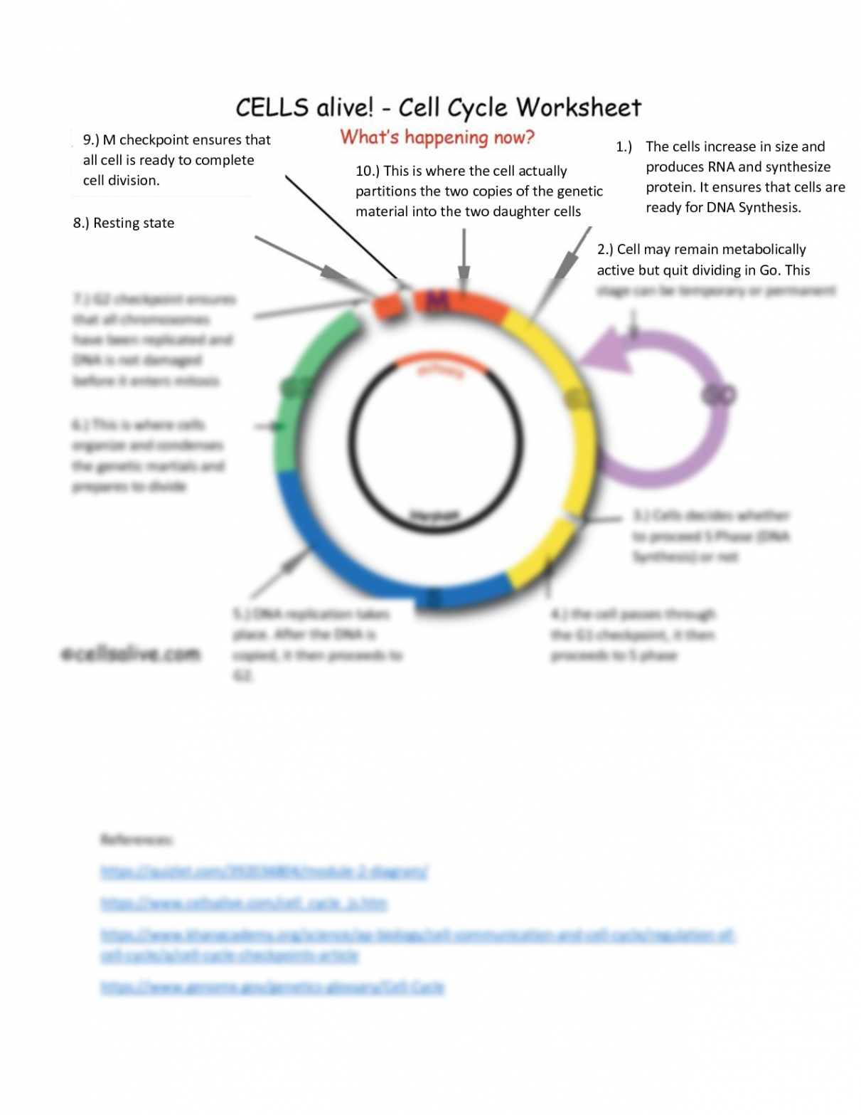 SOLUTION: Cells alive cycleworksheet - Studypool