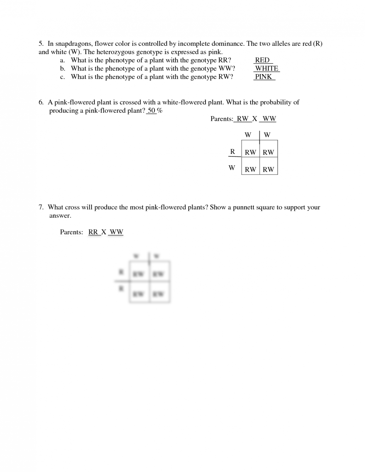 SOLUTION: Incomplete and codominance worksheet and answer key