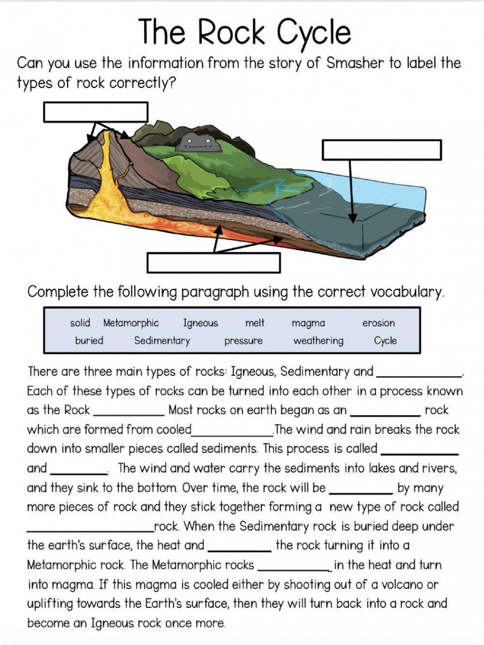 The Rock Cycle worksheet  Live Worksheets