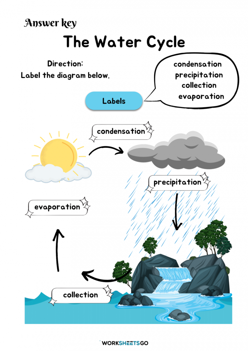 The Water Cycle Worksheets  WorksheetsGO