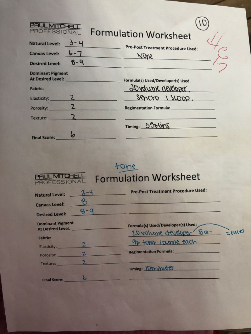 Toning and foil work formulation work sheet  Worksheets