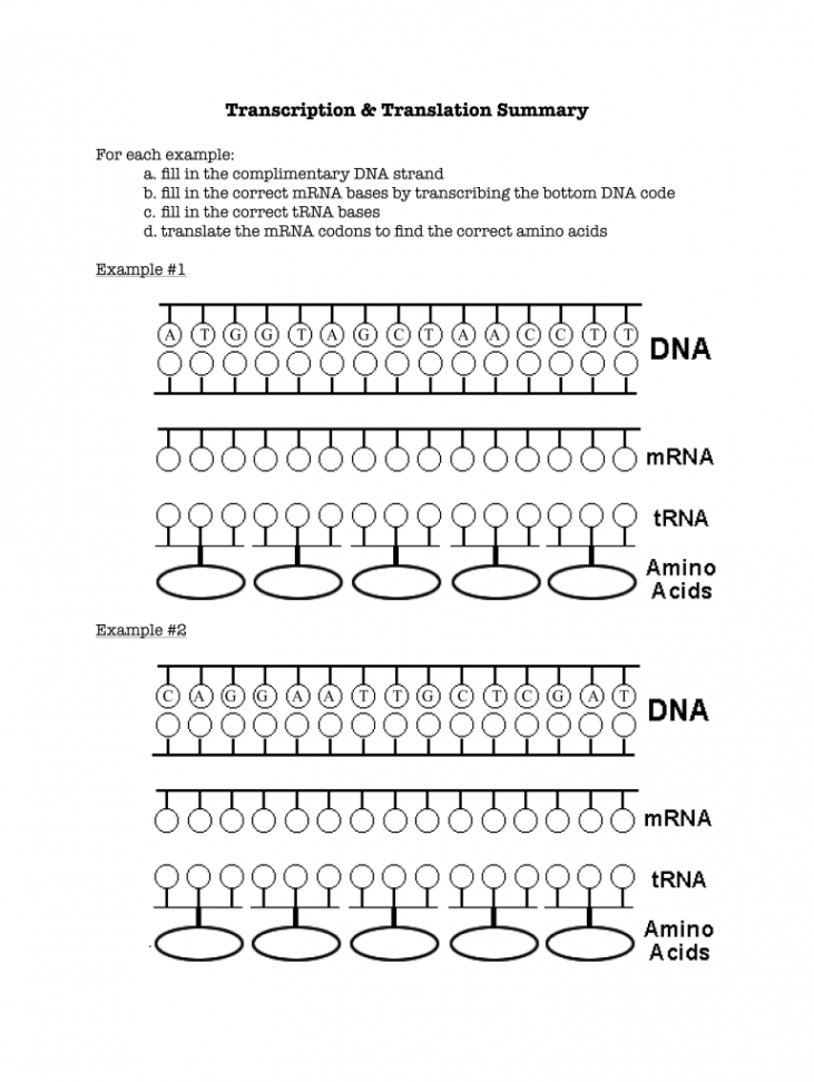 Transcription and translation practice worksheet: Fill out & sign