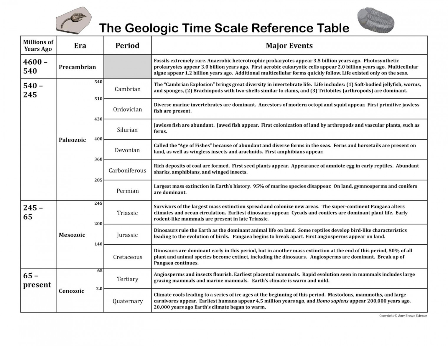 Amy Brown Science: Evolution and the Geologic Time Scale