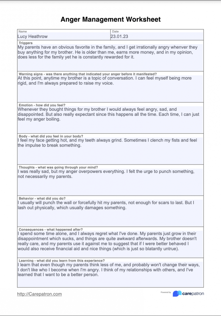 Anger Management Worksheet & Example  Free PDF Download