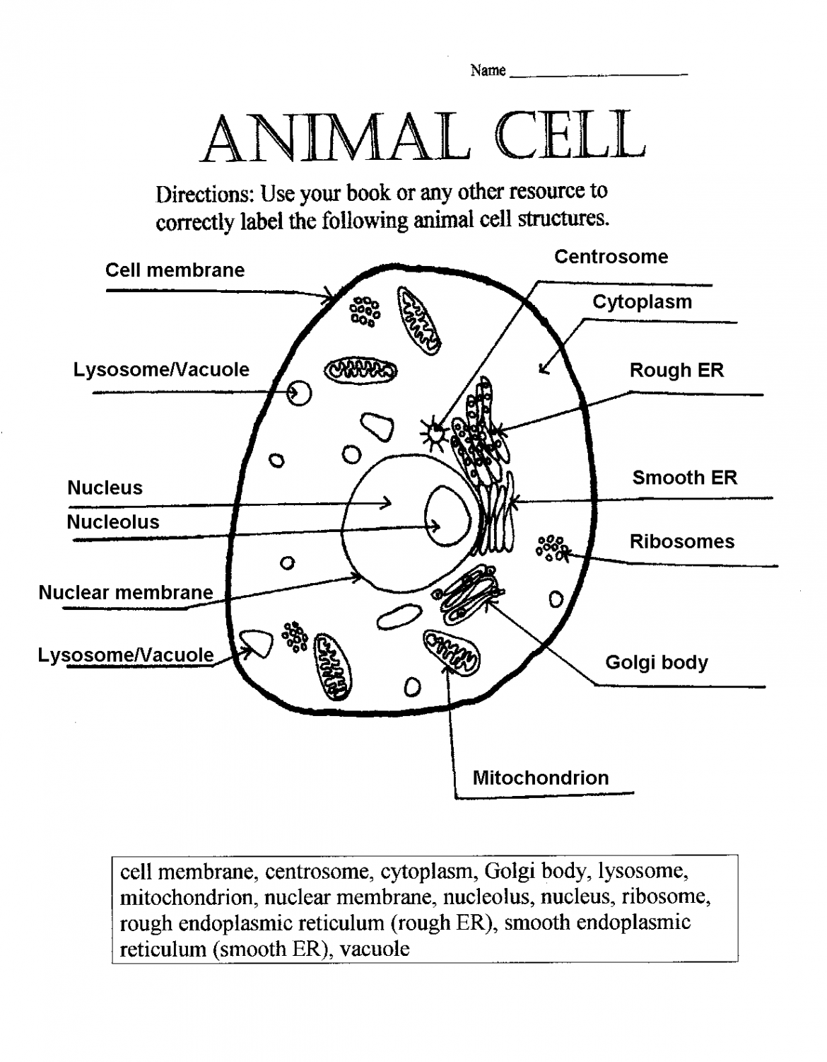 Animal Cell Worksheets Answer Key  Cells worksheet, Animal cell