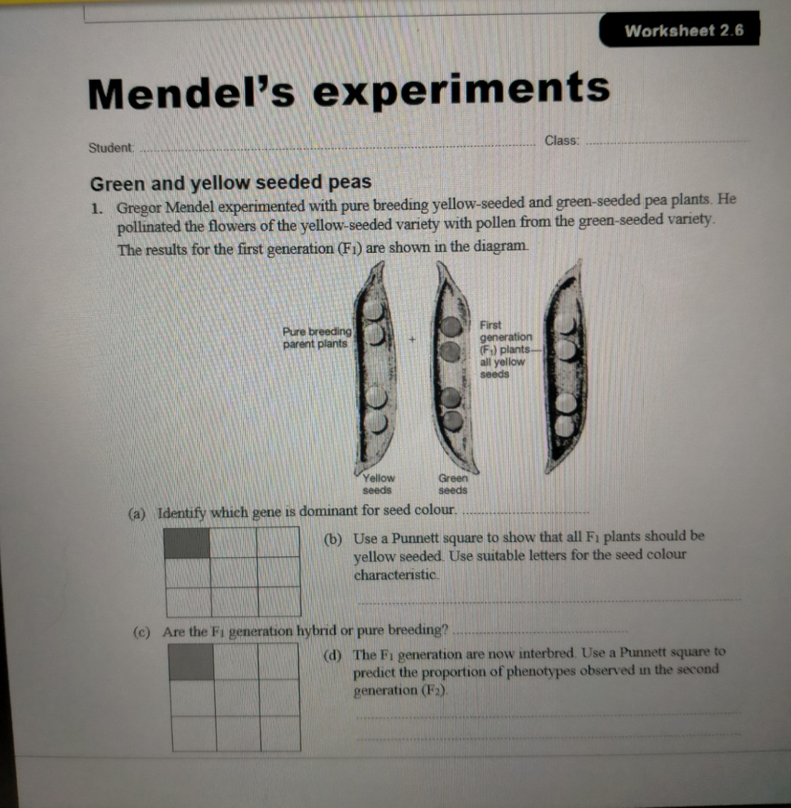 Answered: Mendel