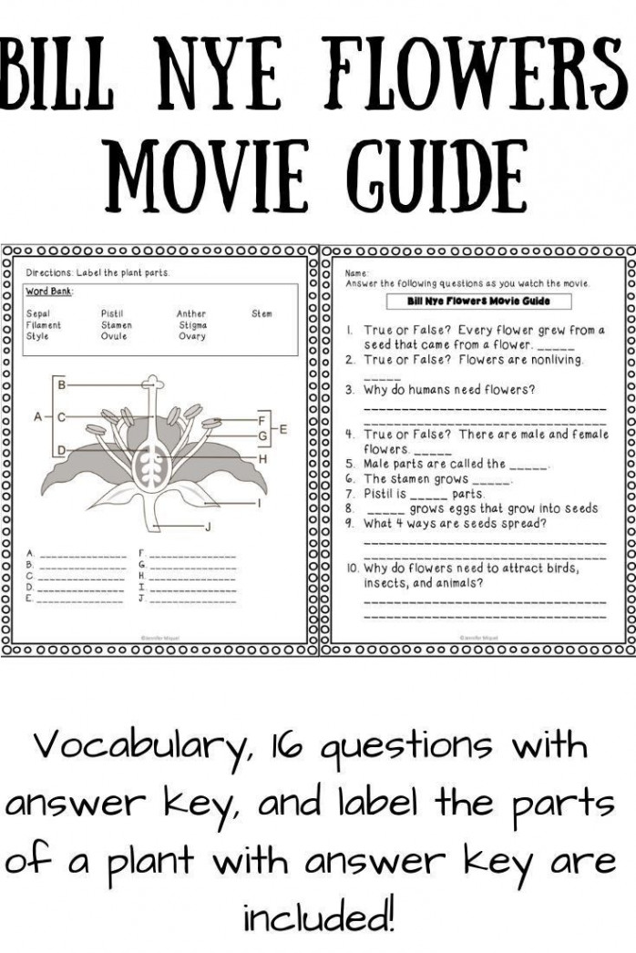 Bill Nye Magnetism Worksheet Answers  Bill nye, Printable