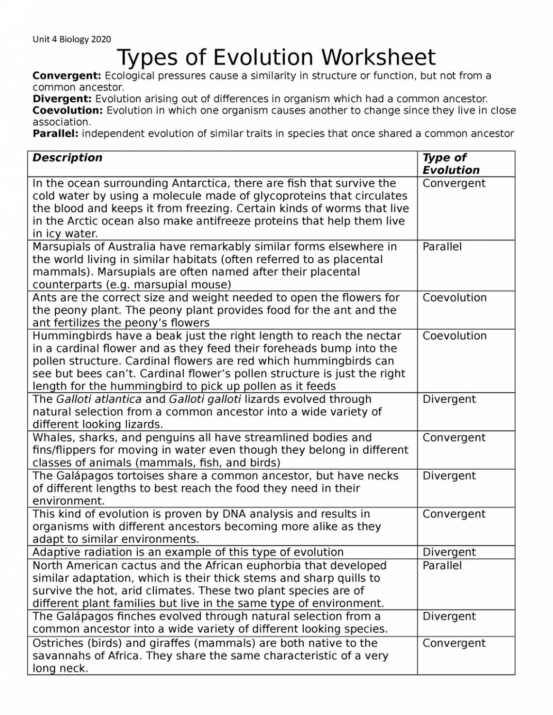 BIO Types of Evolution Table - Unit  Biology  Types of