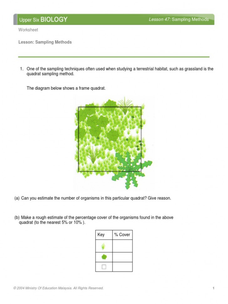 Bio Worksheet   PDF