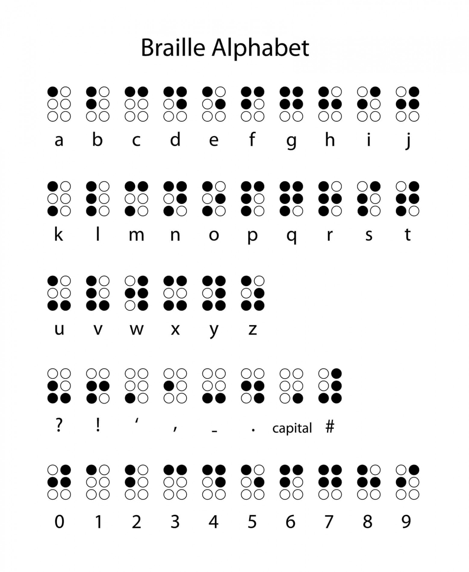 Braille Activity for Sighted Students - The Homeschool Scientist