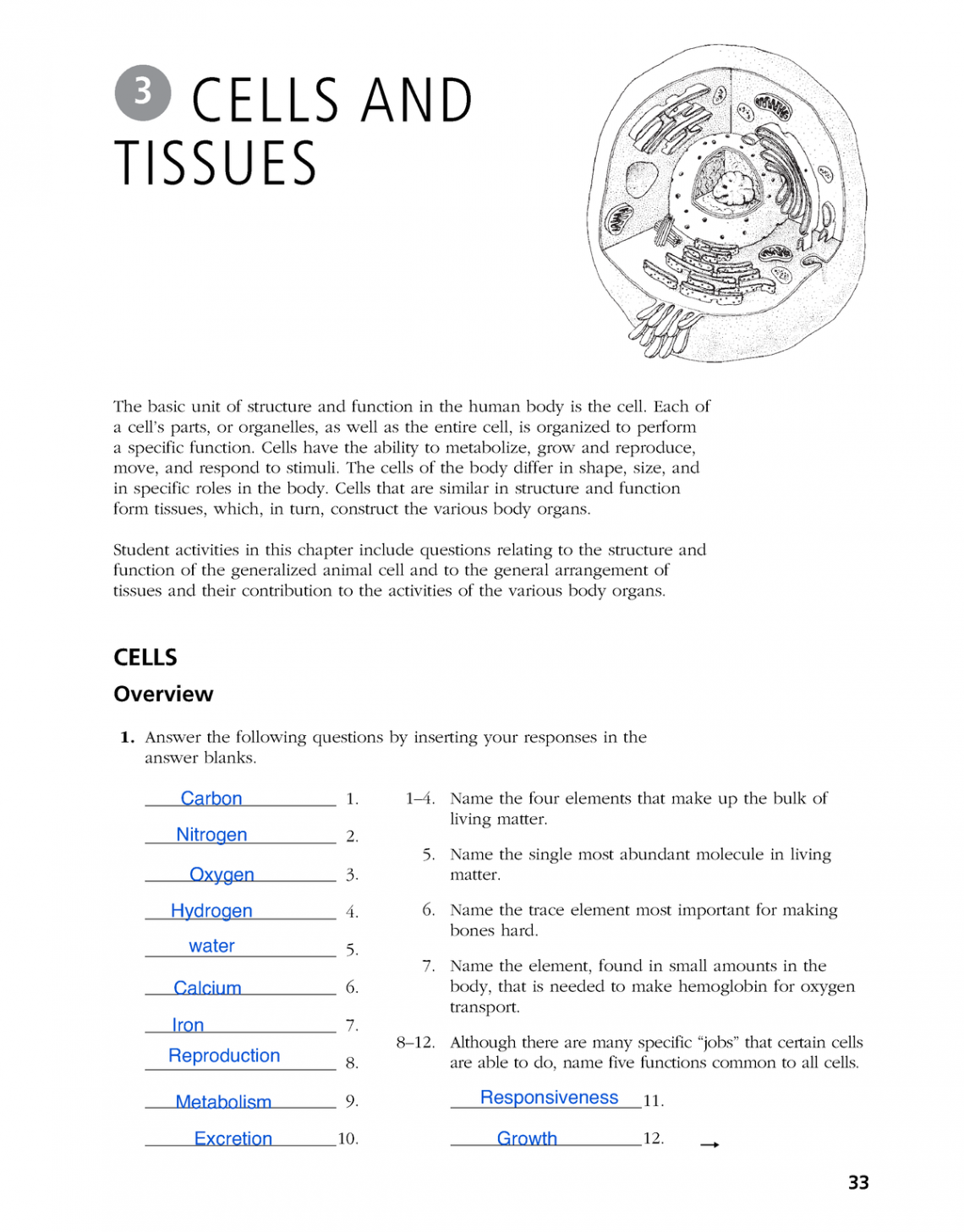 Chapter  workbook Cells and Tissues - The basic unit of structure