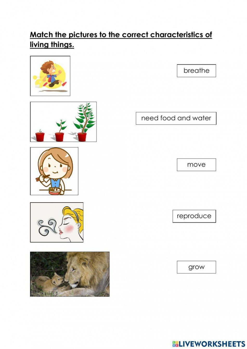 Characteristics of living things activity for Grade   Live