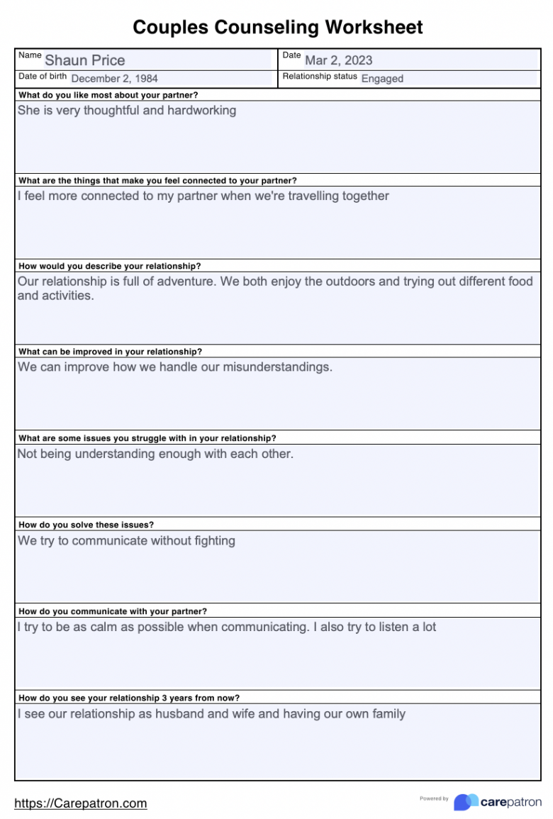 Couples Counseling Worksheets & Example  Free PDF Download