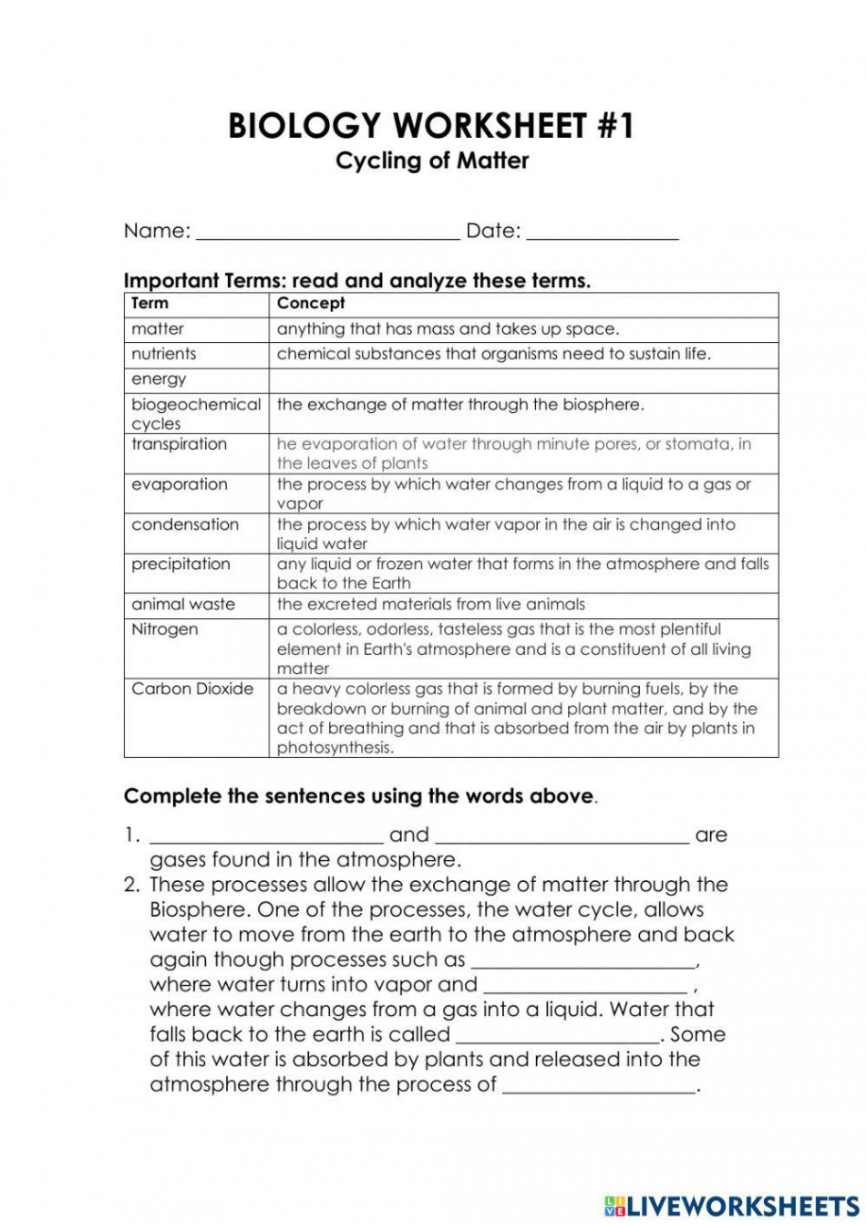 Cycles of Matter worksheet  Live Worksheets